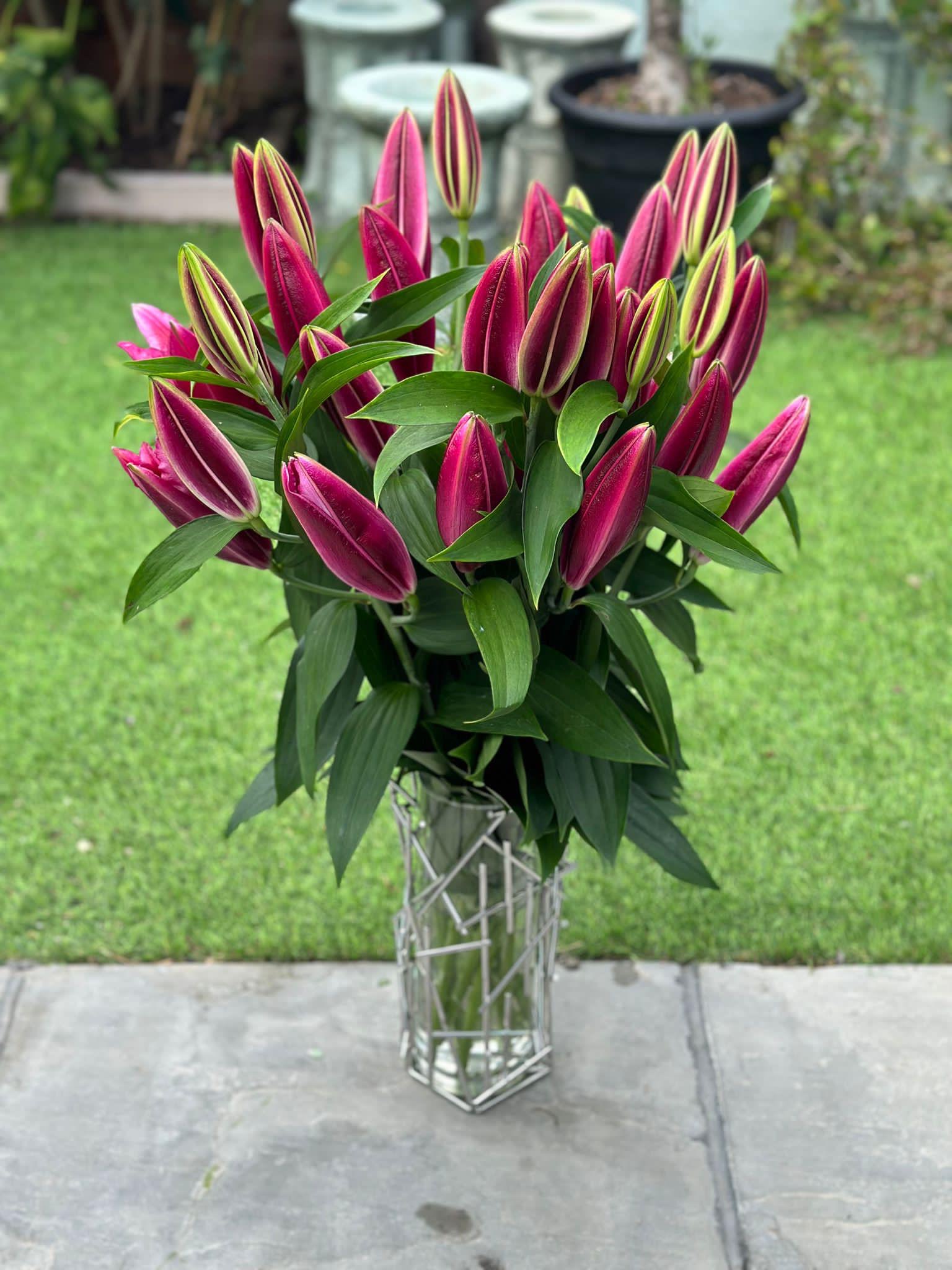 Magenta Majestic Lily Bouquet